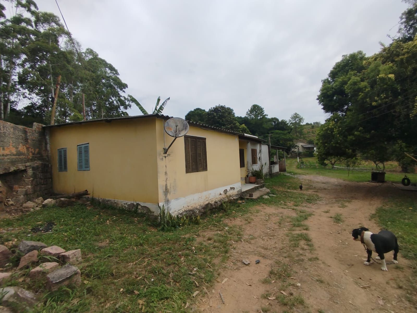 Chácara à venda com 3 quartos, 3853m² - Foto 7
