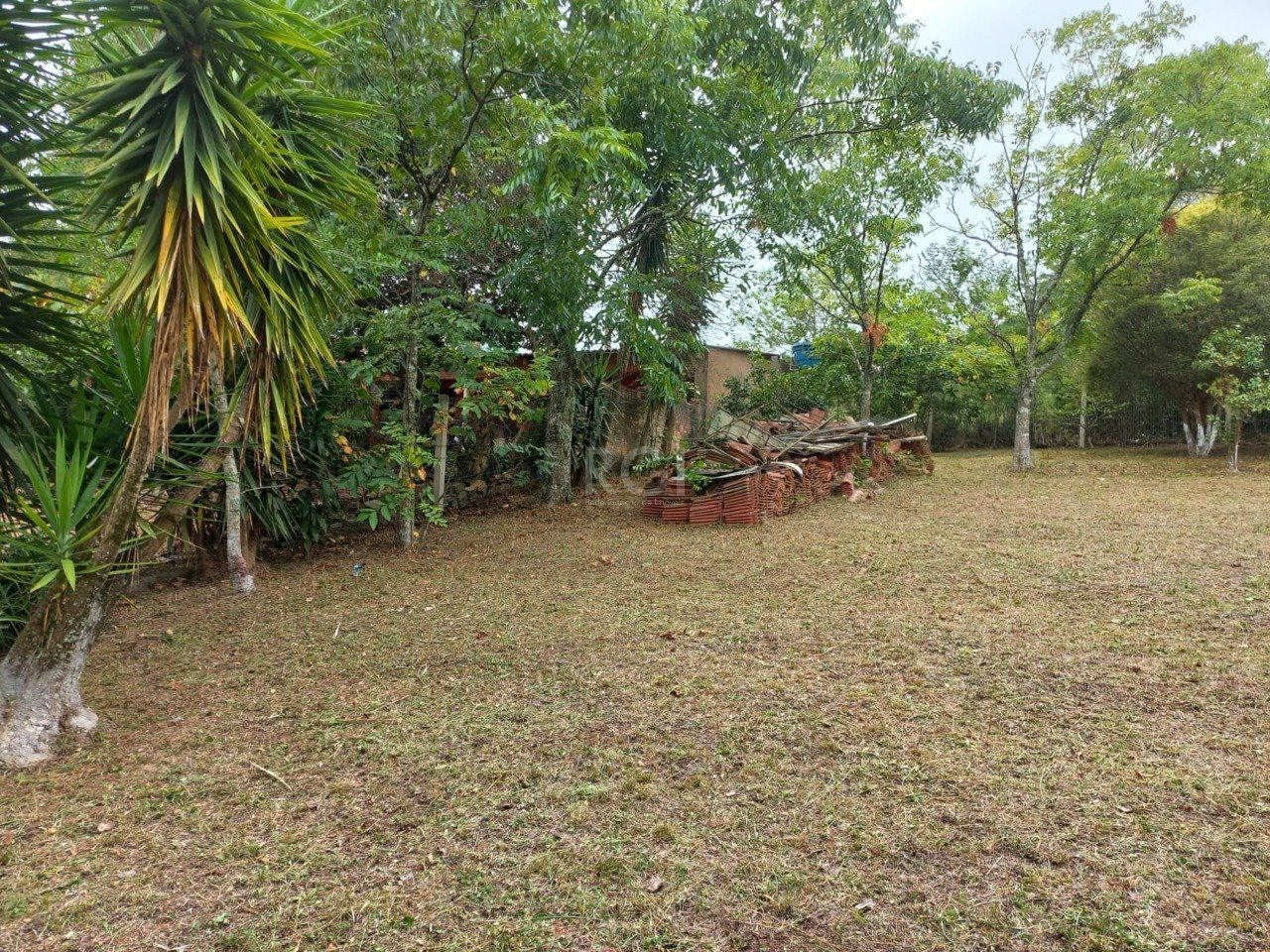 Terreno, 549 m² - Foto 3