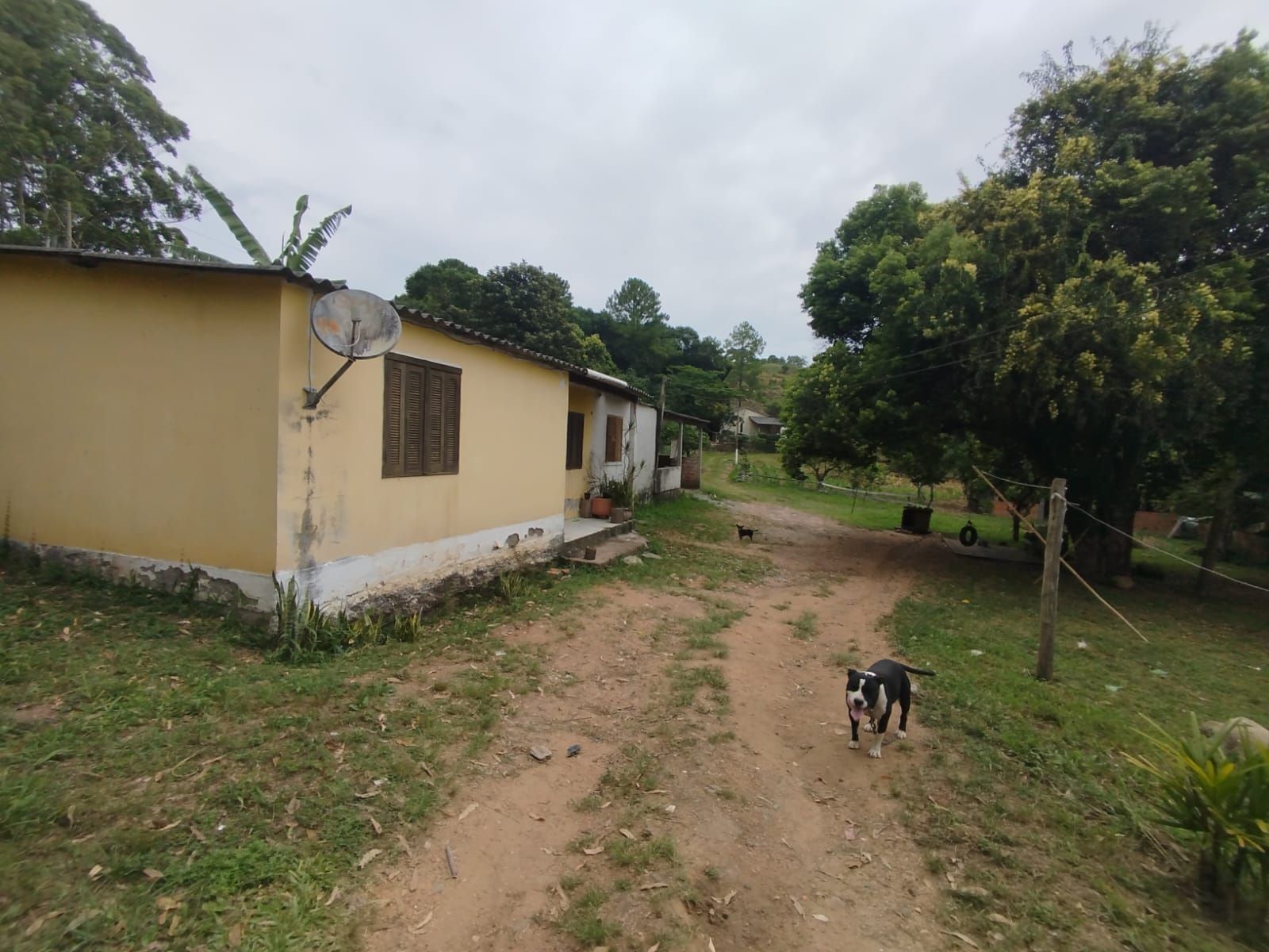 Fazenda à venda com 3 quartos - Foto 6