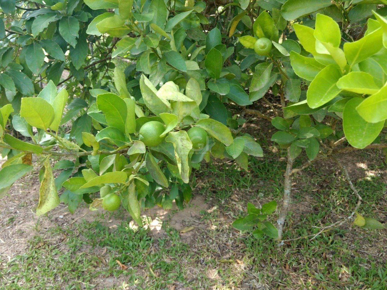 Sítio, 1 quarto, 6750 m² - Foto 16