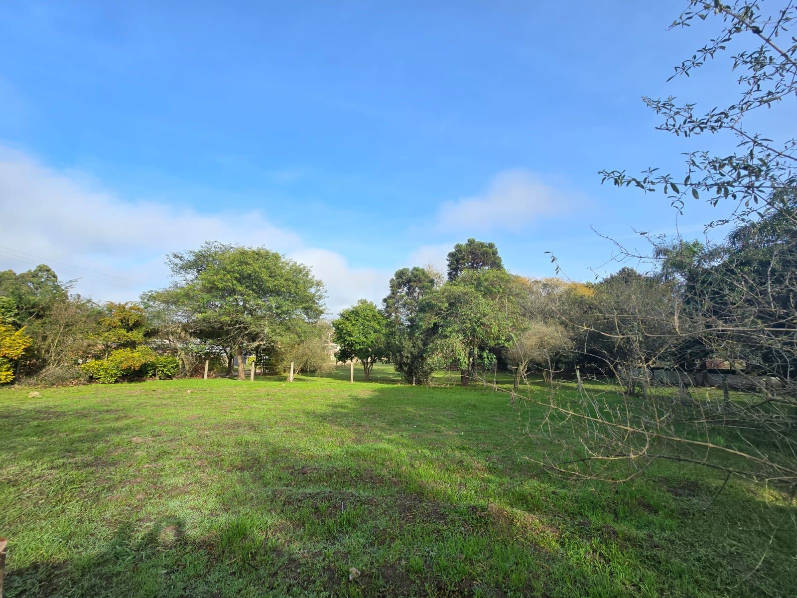 Sitio na Restinga com 2 casas e ótima oportunidade para investimento