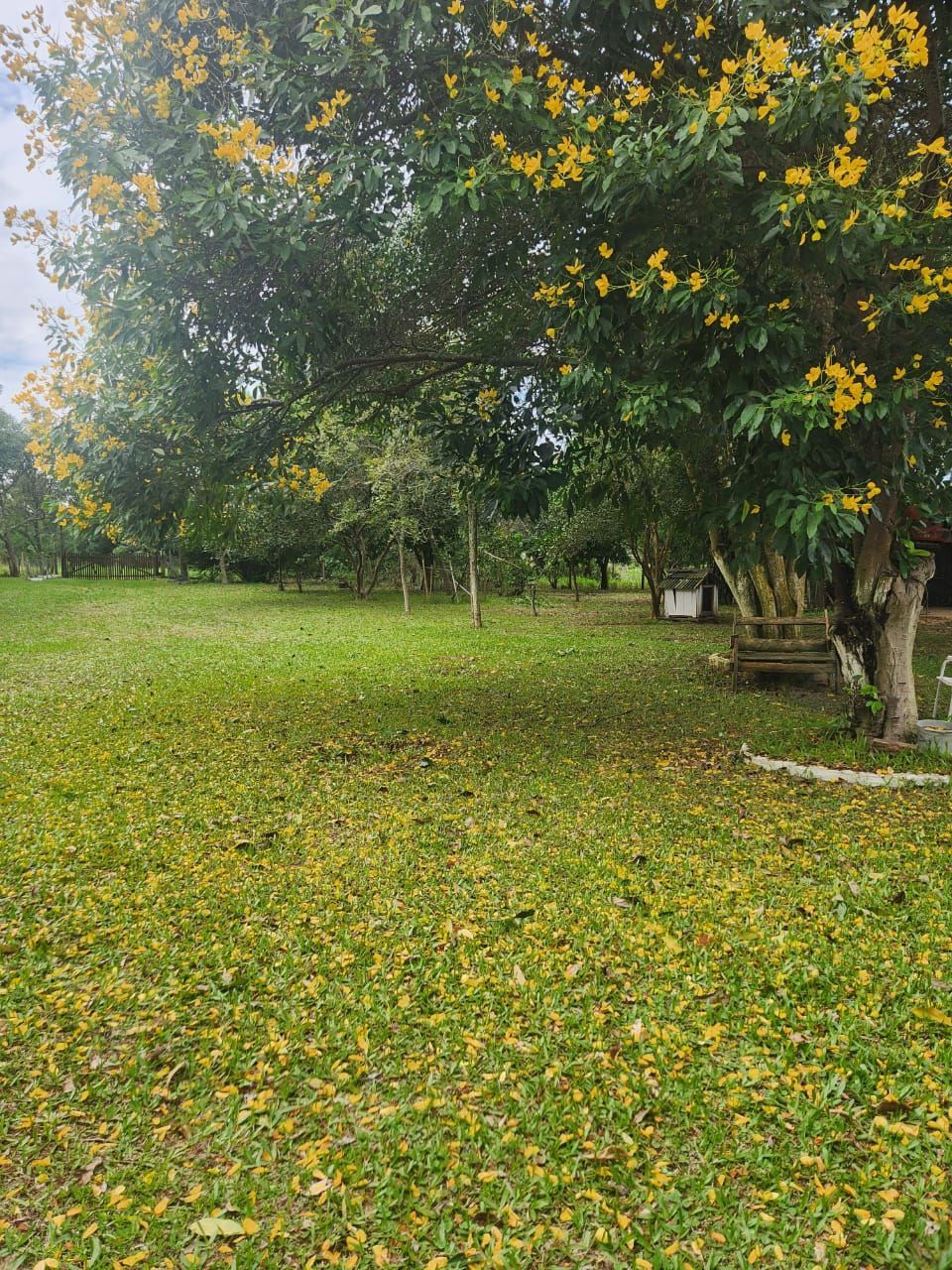 Sítio à venda com 3 quartos, 4000m² - Foto 13