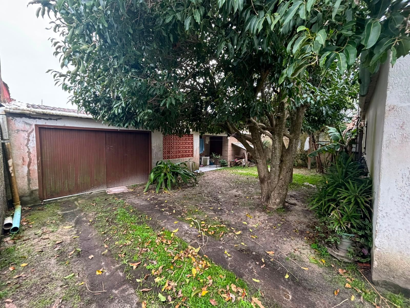 Casa, 3 quartos, à venda, 150 m², Lami - Balneário Pinhal — foto 4