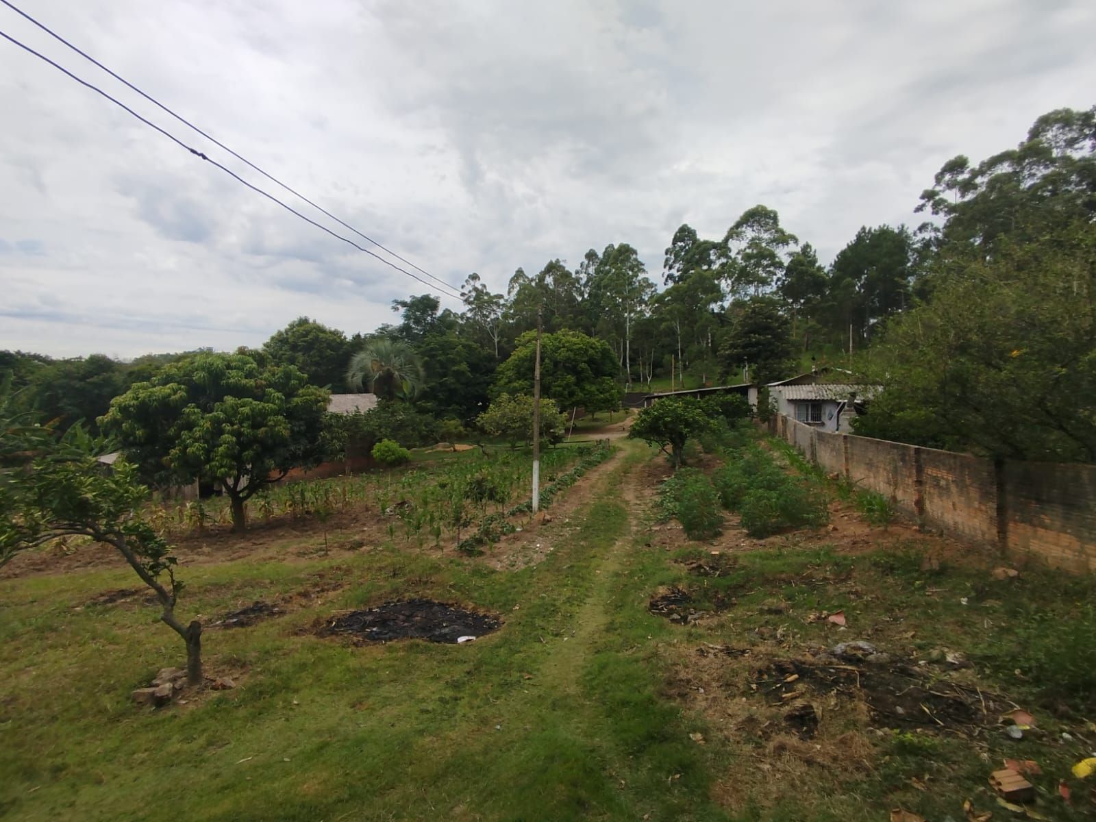 Fazenda à venda com 3 quartos - Foto 3