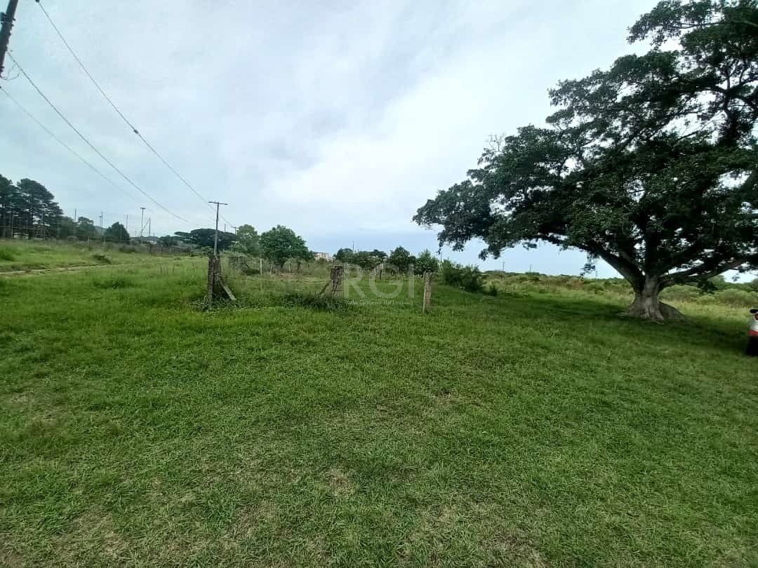 Terreno, 5 hectares - Foto 2