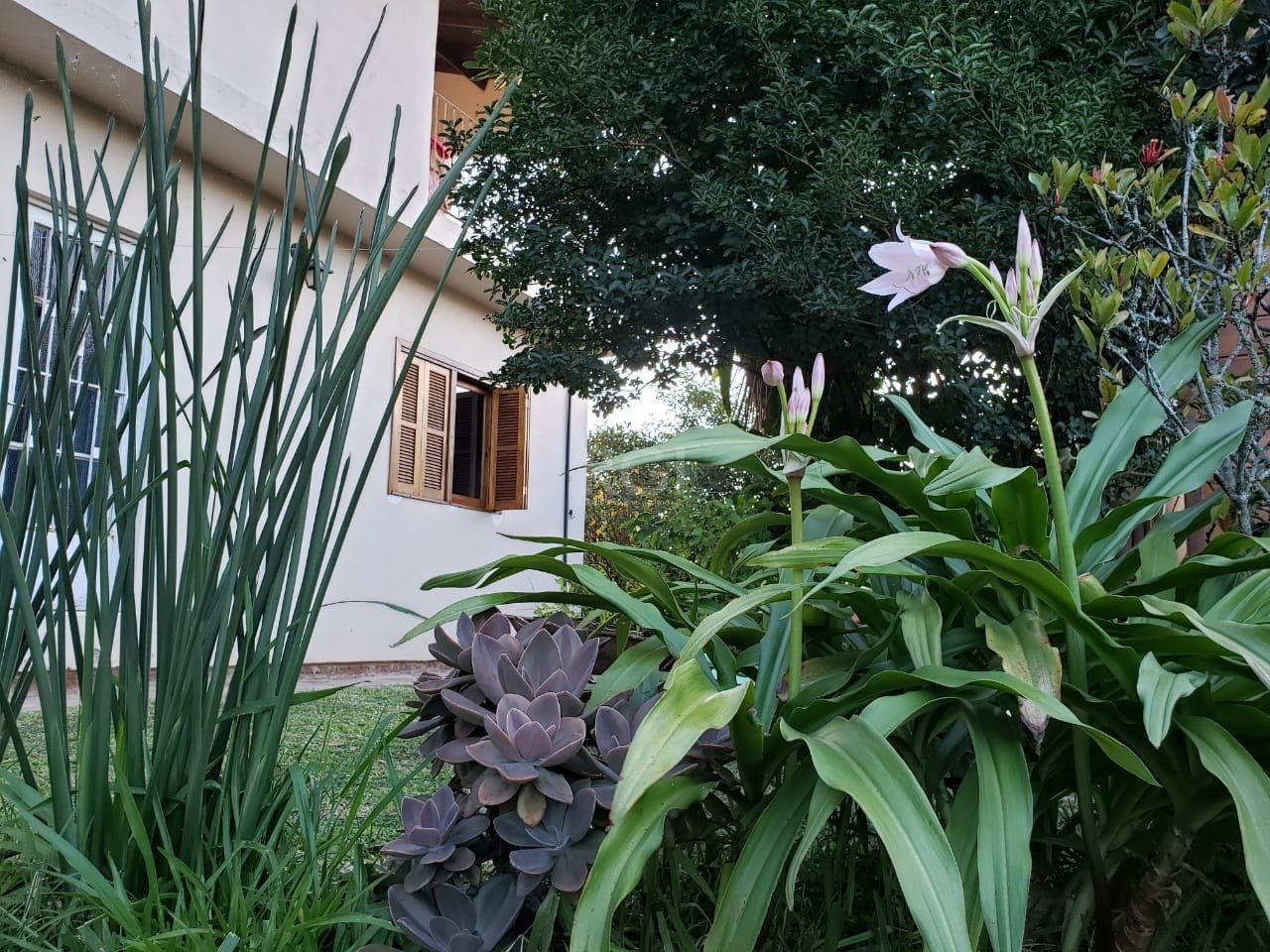 Casa, 5 quartos, 300 m² - Foto 44