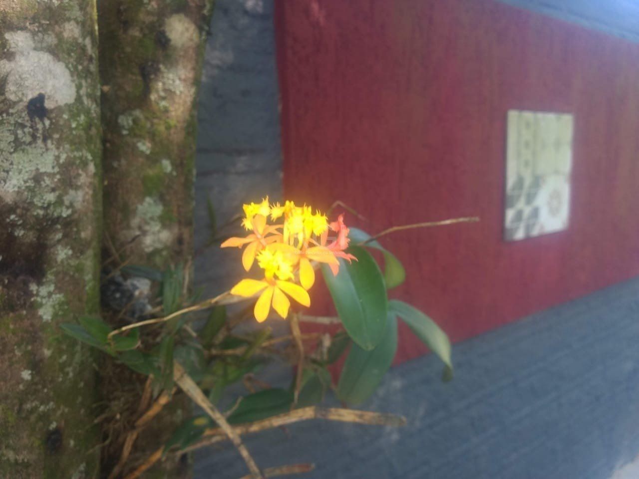 Terreno à venda, 1m² - Foto 10