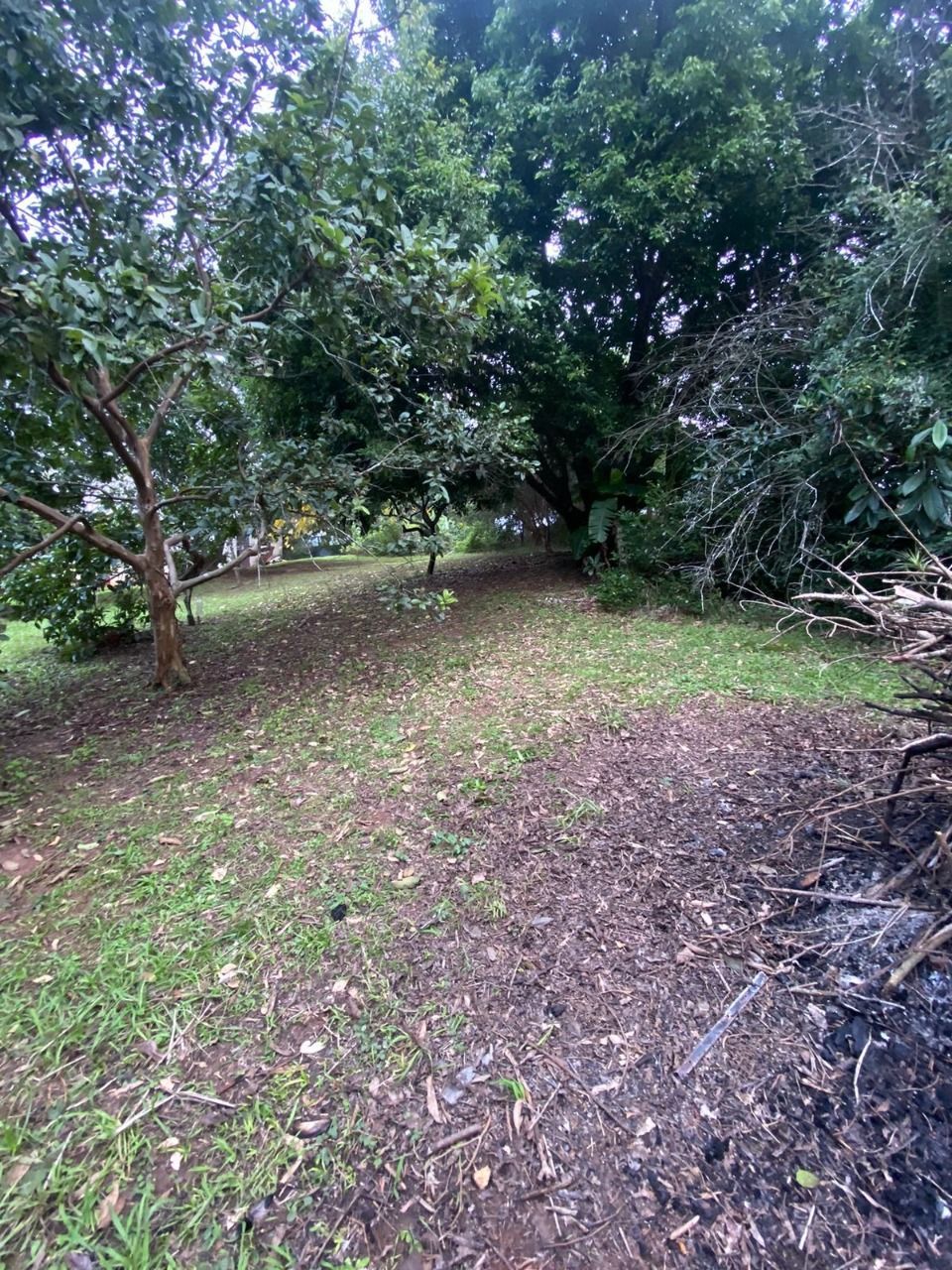 Terreno, 2381 m² - Foto 8