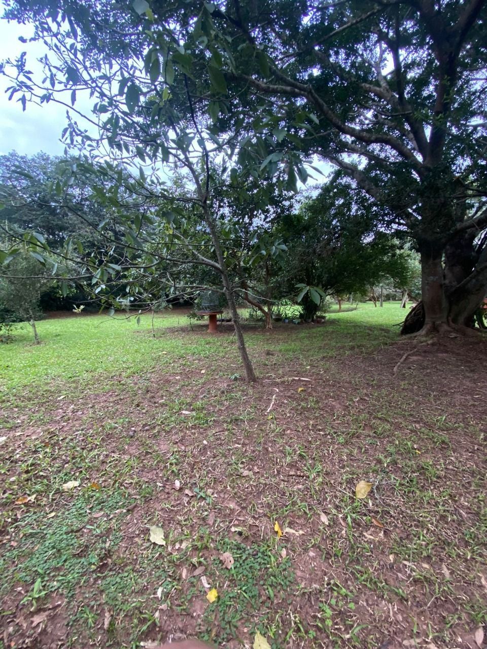 Terreno, 2381 m² - Foto 1