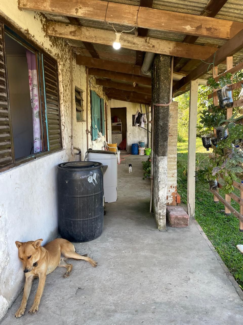Sítio à venda com 4 quartos, 100m² - Foto 22