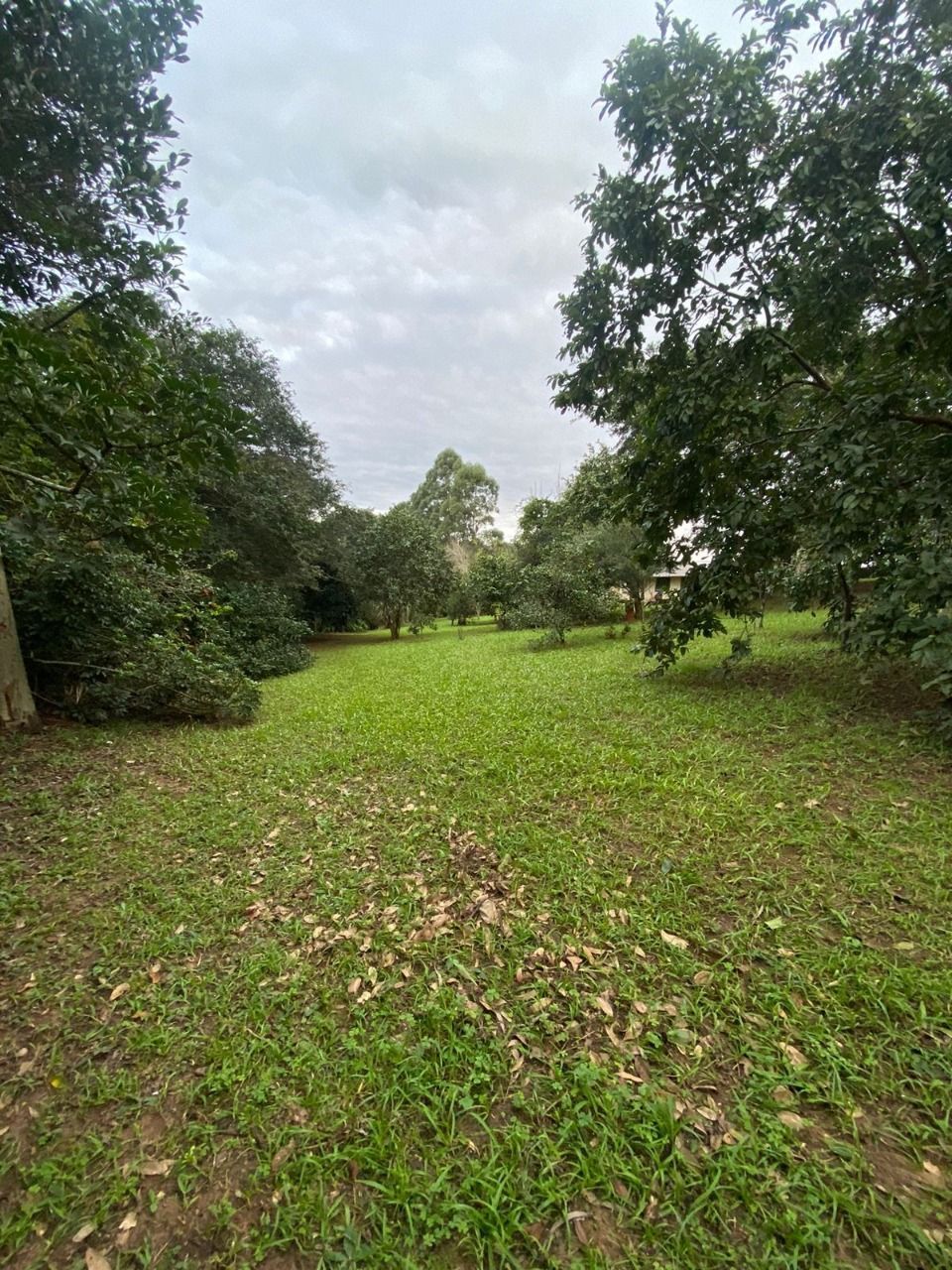 Terreno, 2381 m² - Foto 2