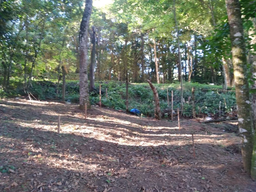 Terreno, 3800 m² - Foto 4