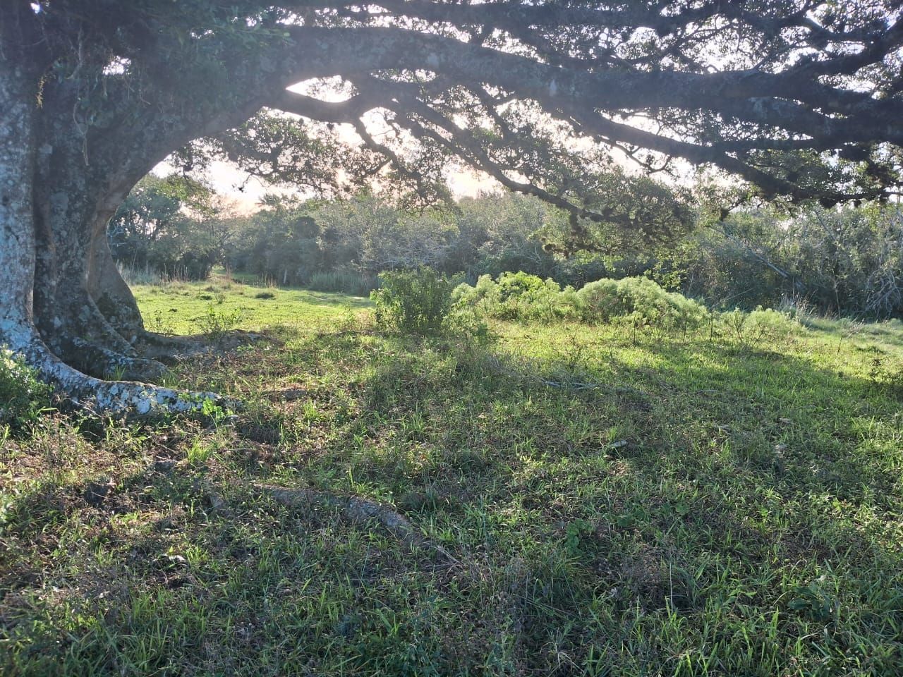 Loteamento e Condomínio à venda, 70000m² - Foto 5