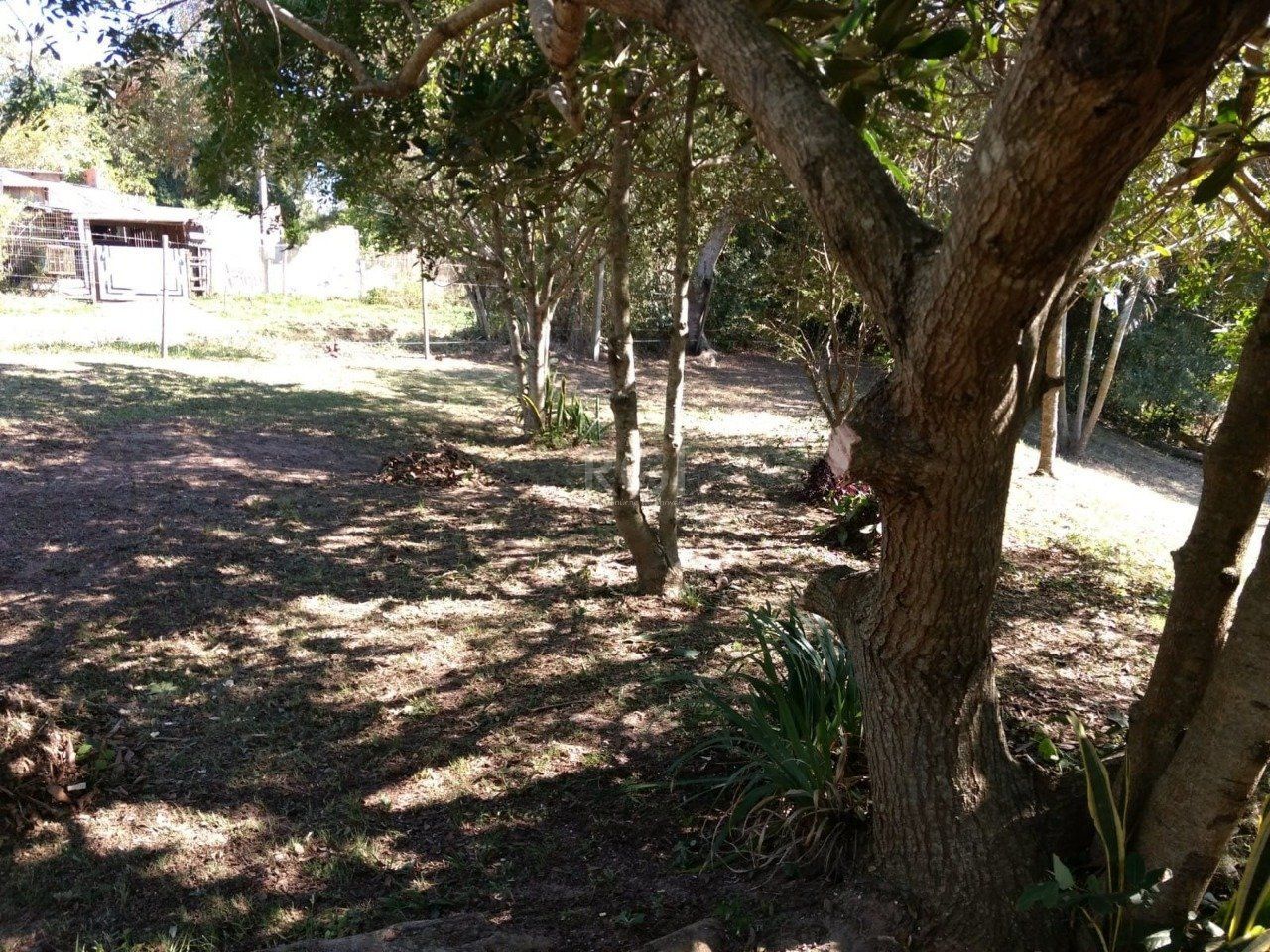 Sítio, 1 quarto, 6750 m² - Foto 10