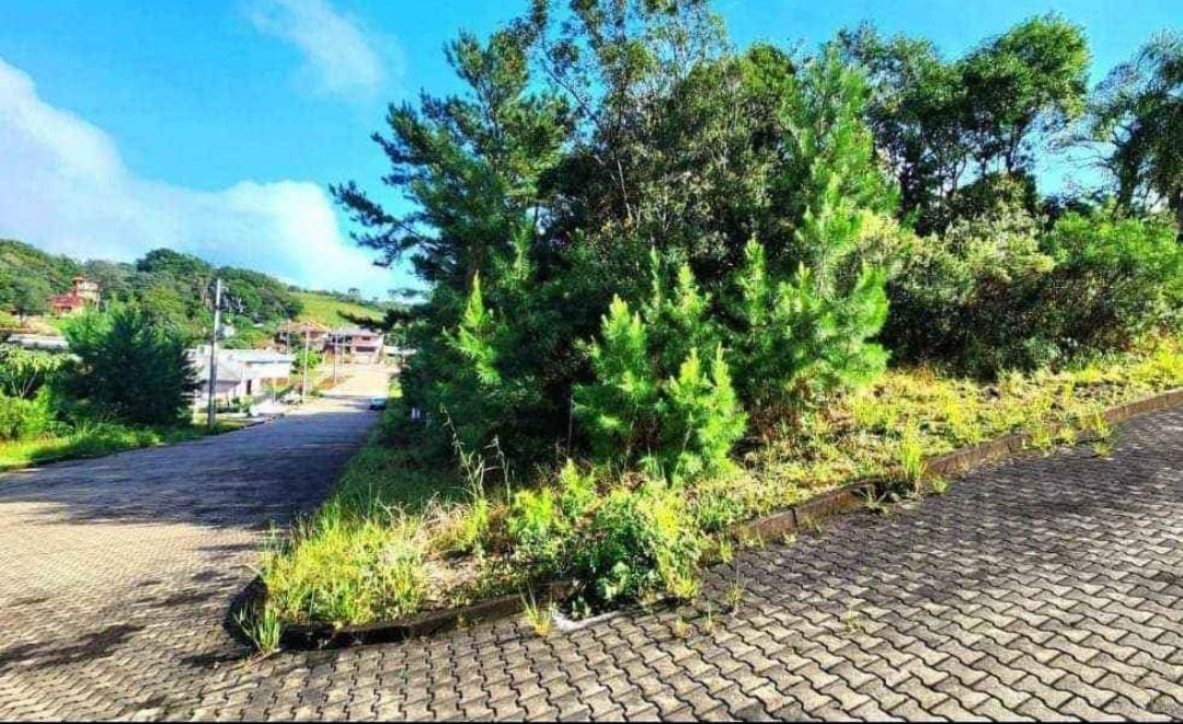 Terreno à venda, 449m² - Foto 3