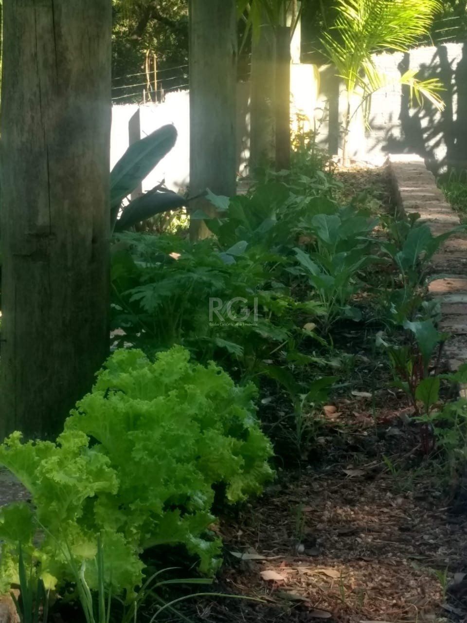 Terreno à venda, 1m² - Foto 29