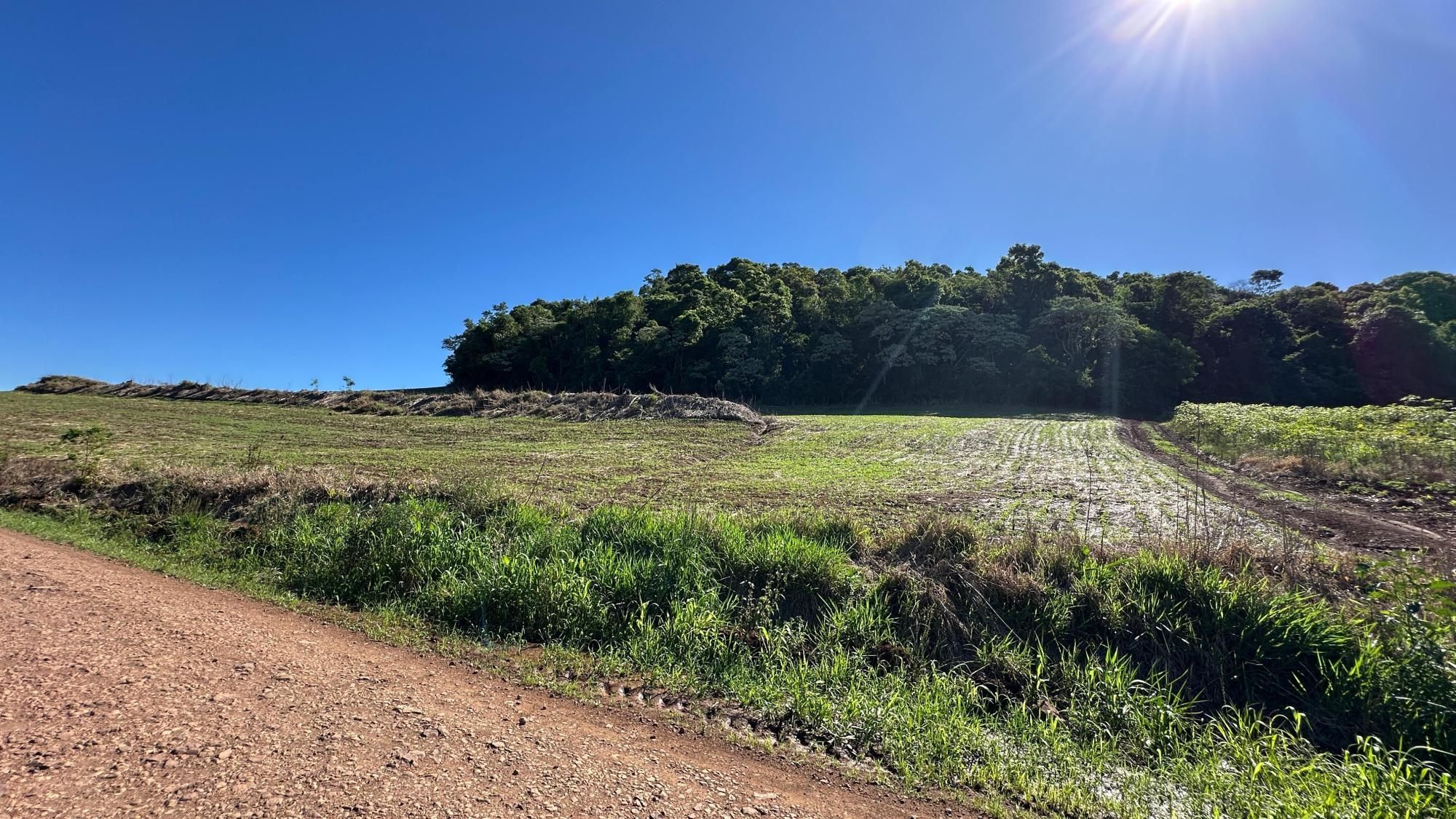 Área Rural à venda na Linha Gaúcha