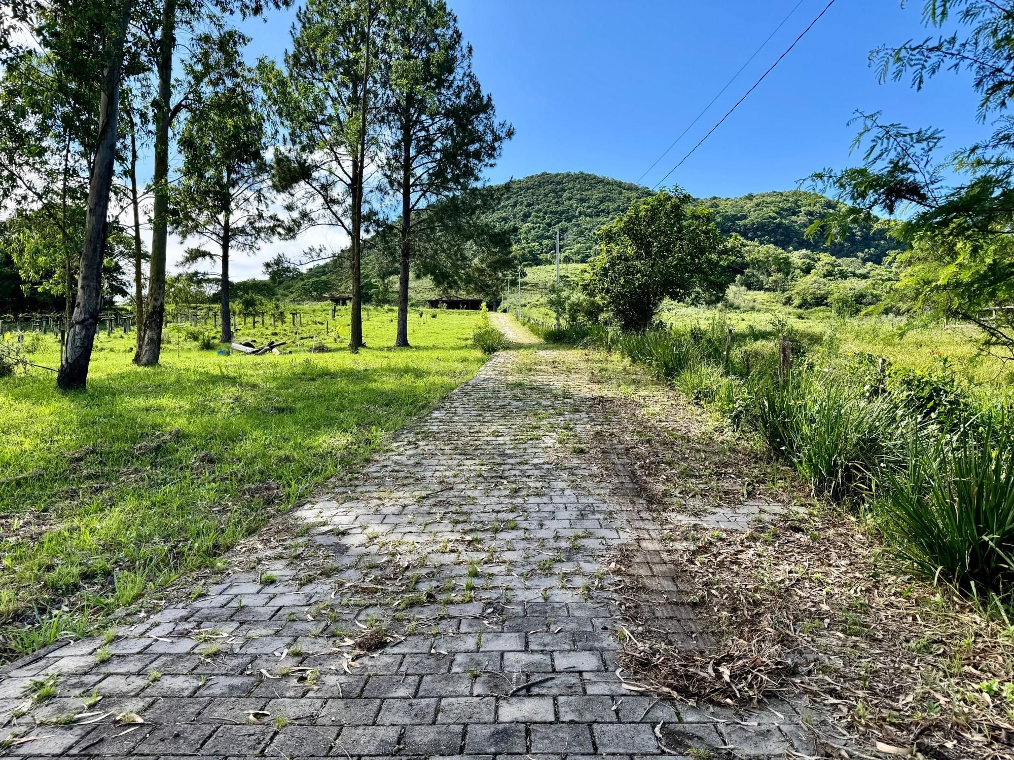 Fazenda à venda, 300m² - Foto 20