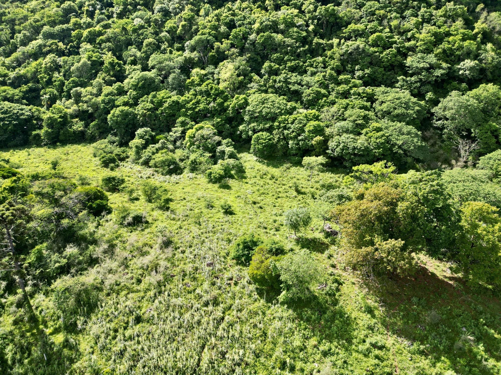 Fazenda à venda, 300m² - Foto 8