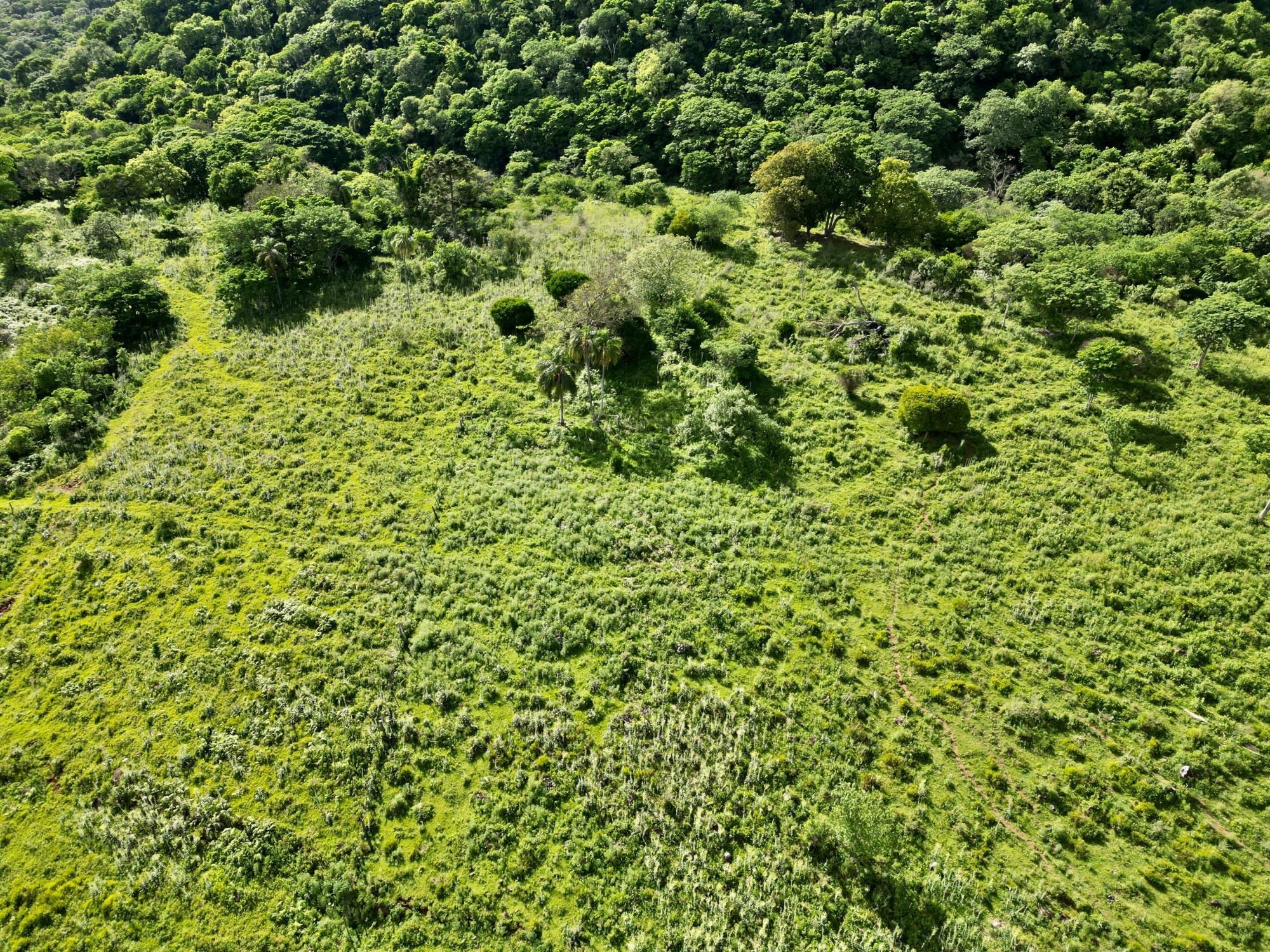 Fazenda à venda, 300m² - Foto 5