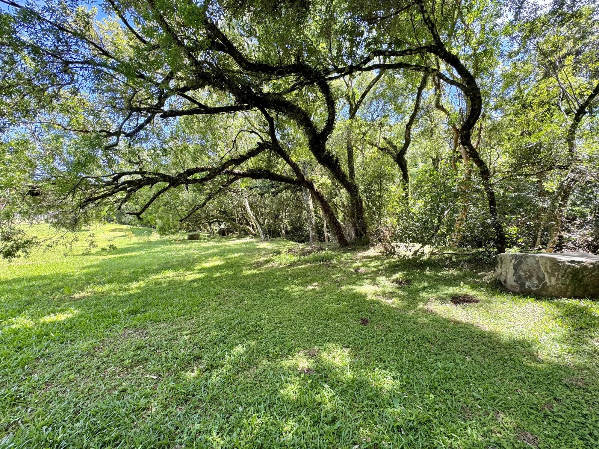 Terreno à venda, 397m² - Foto 8