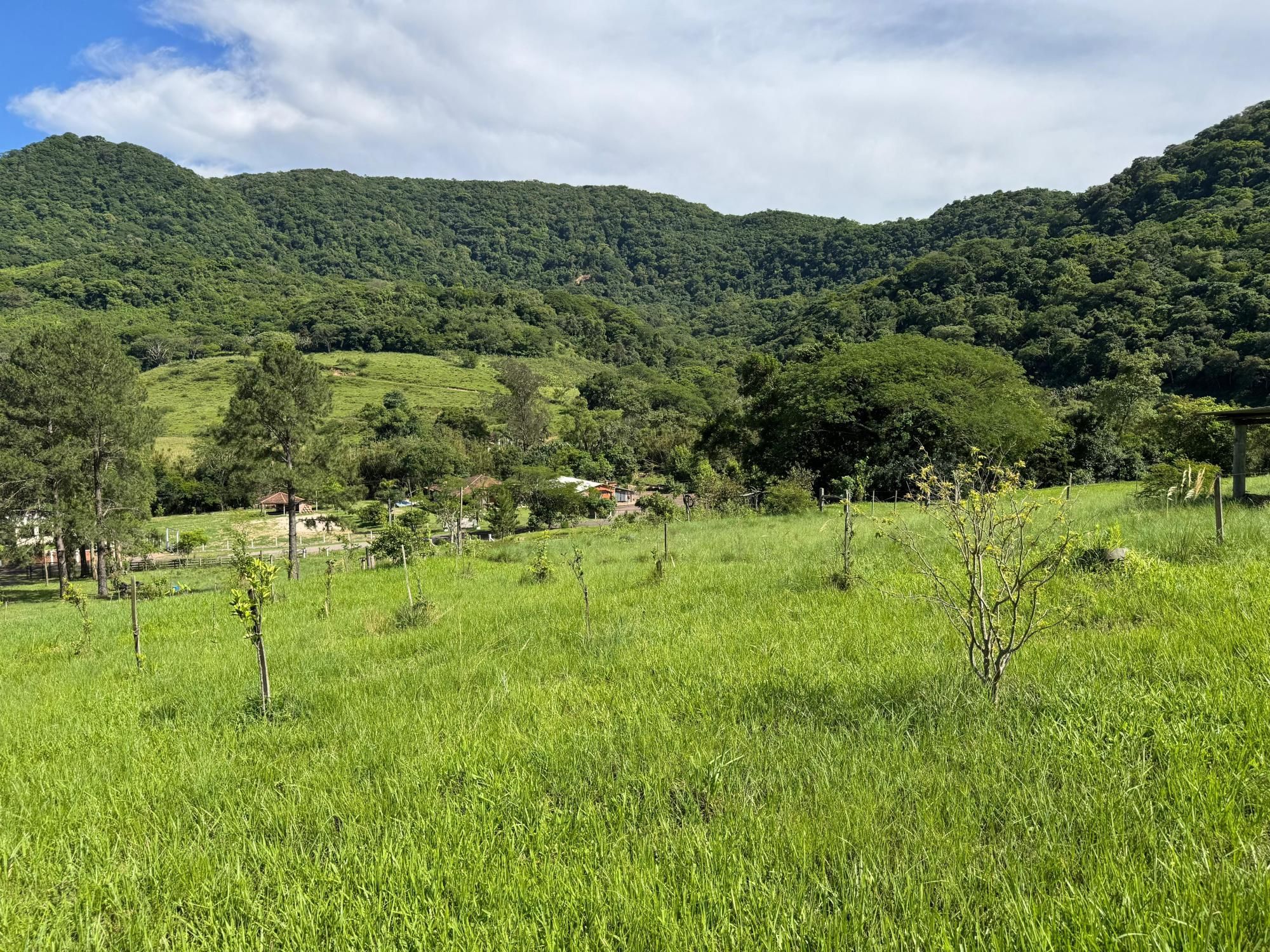 Fazenda à venda, 300m² - Foto 19