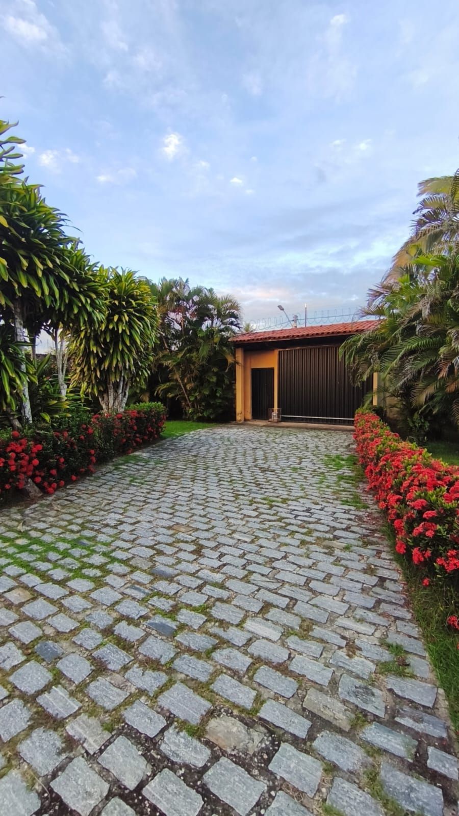 Chácara, 6 quartos, 2 hectares - Foto 17