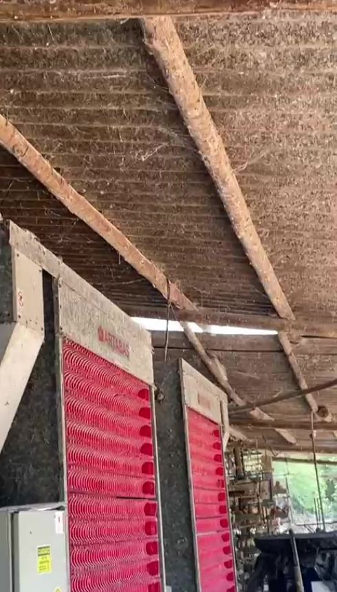 Sala-Conjunto, 246400 m² - Foto 18