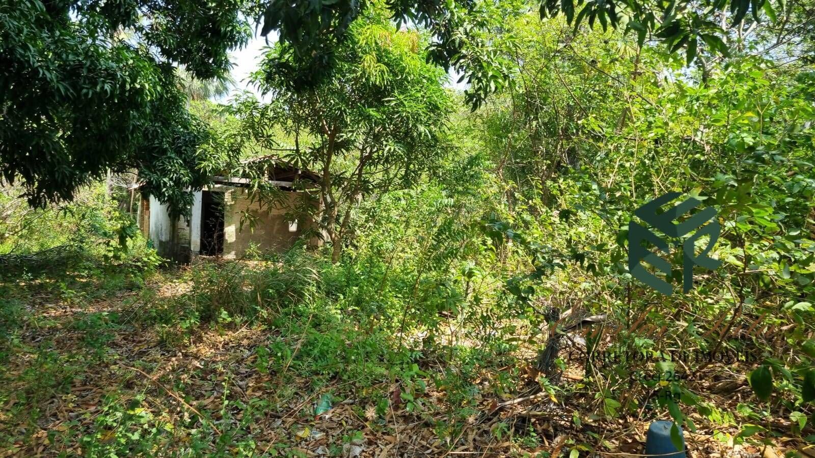 Loteamento e Condomínio, 2 hectares - Foto 19