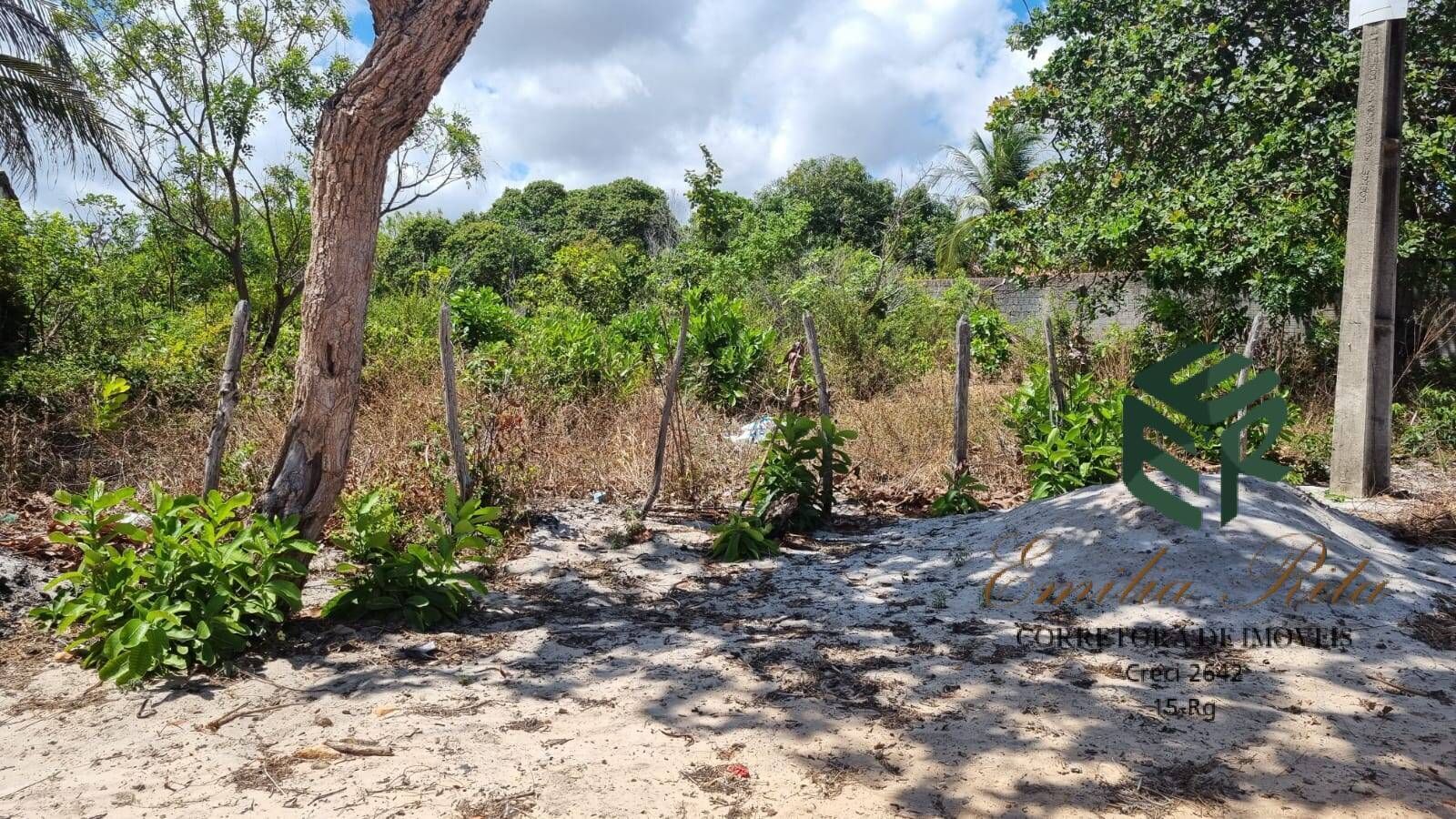 Terreno, 1584 m² - Foto 8