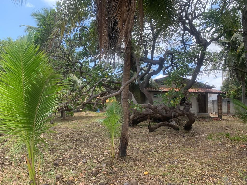 Terreno, 2792 m² - Foto 6