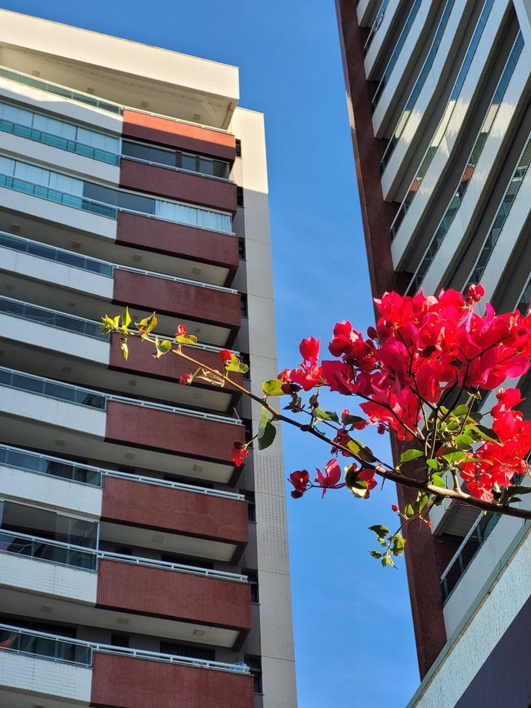 Apartamento de 2 quartos, 73m² no bairro Engenheiro Luciano Cavalcante, em Fortaleza | Eu Corretor