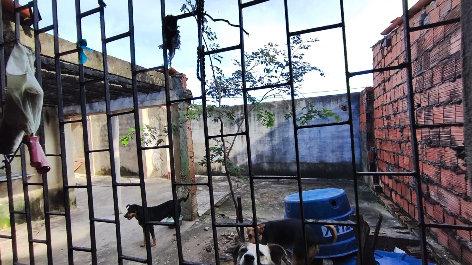 Casa, 7 quartos, 360 m² - Foto 19