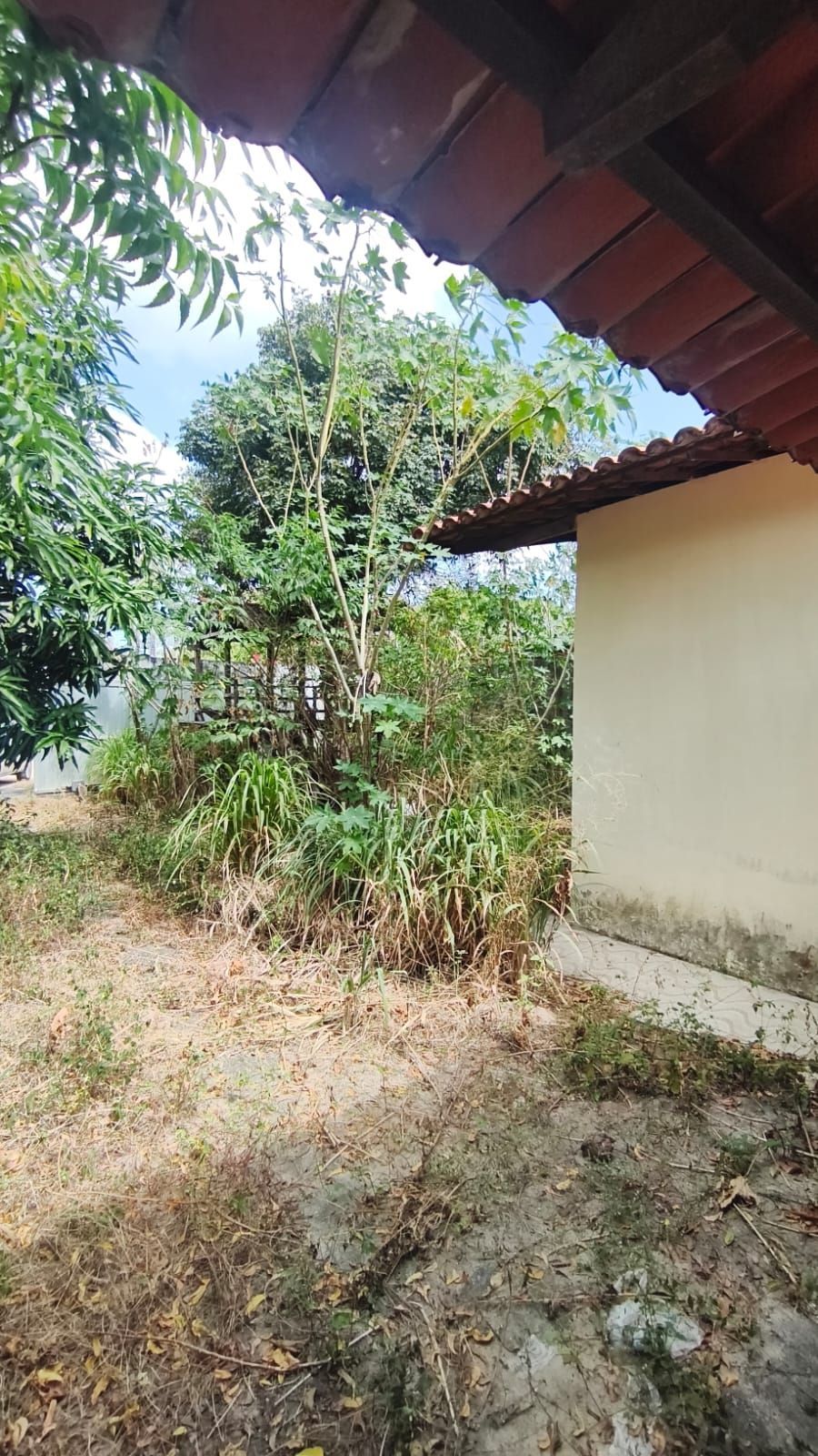 Casa, 3 quartos, 468 m² - Foto 16
