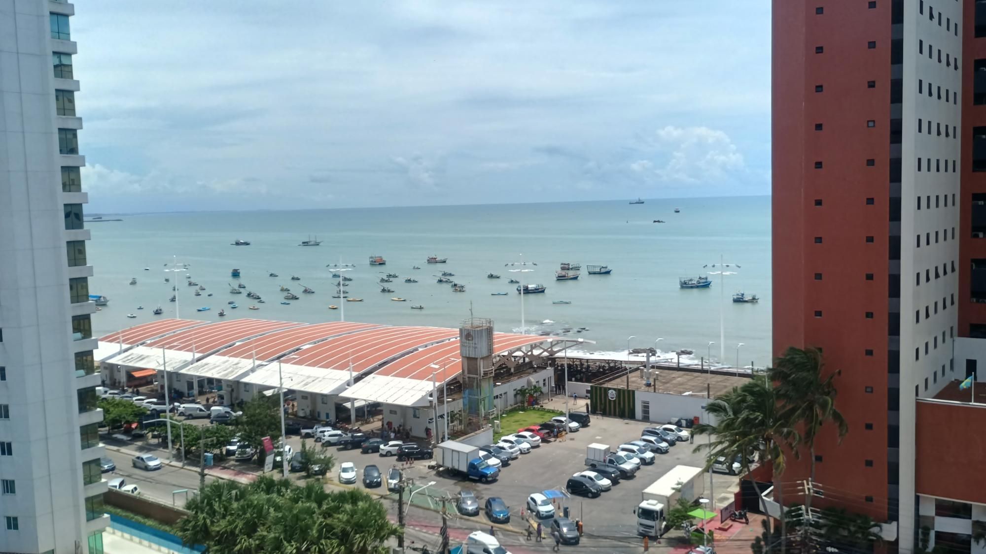 img167310729