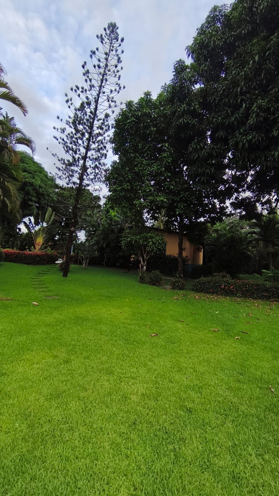 Chácara, 6 quartos, 2 hectares - Foto 12