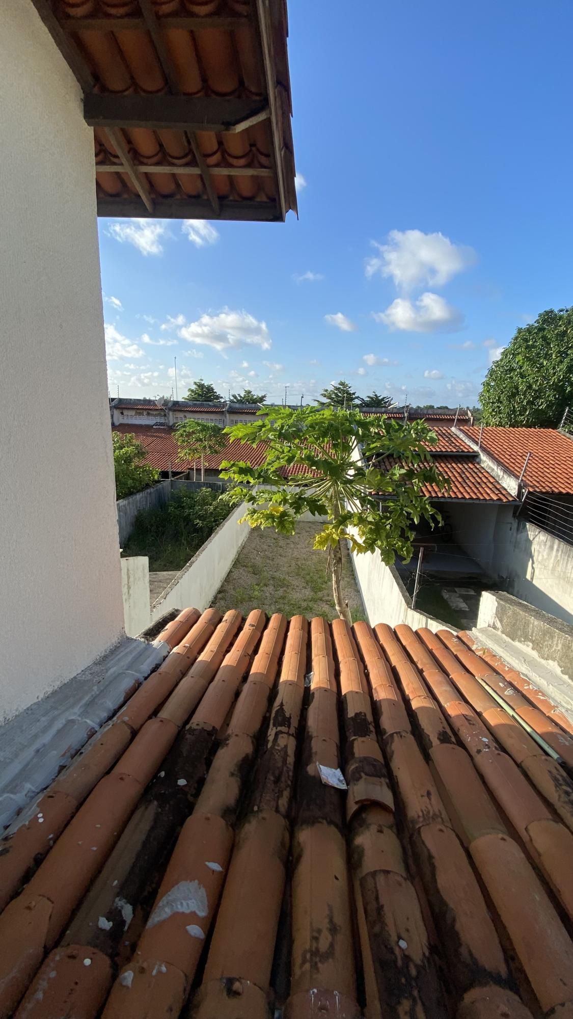img120426725