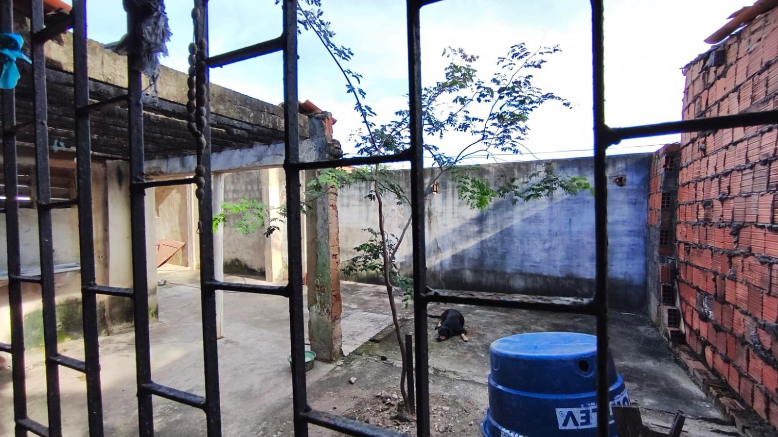 Casa, 7 quartos, 360 m² - Foto 15
