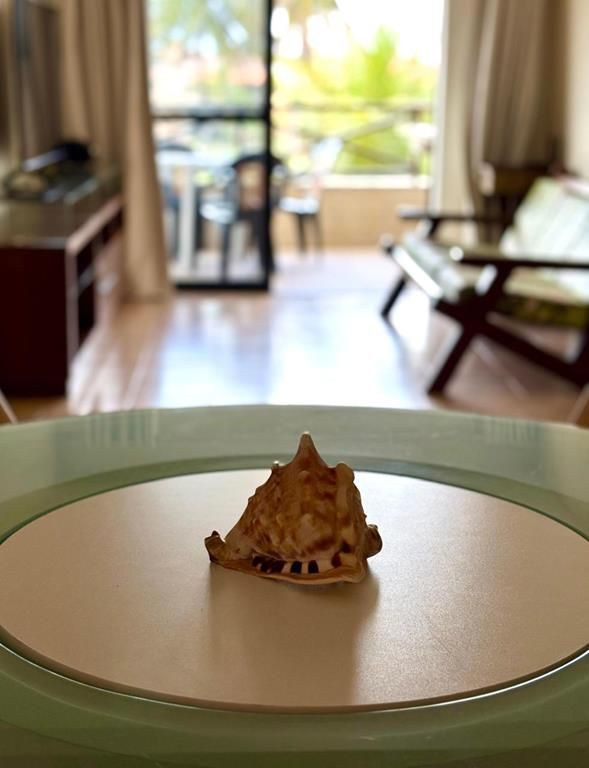 Apartamento, 3 quartos, 97 m² - Foto 6