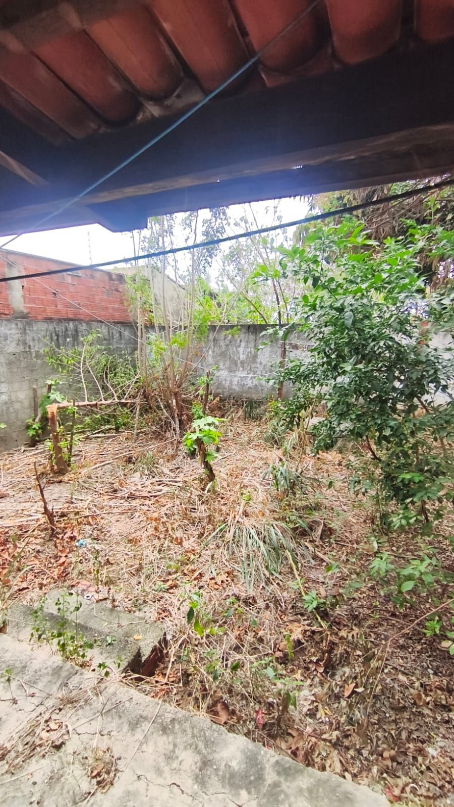 Casa, 3 quartos, 468 m² - Foto 19