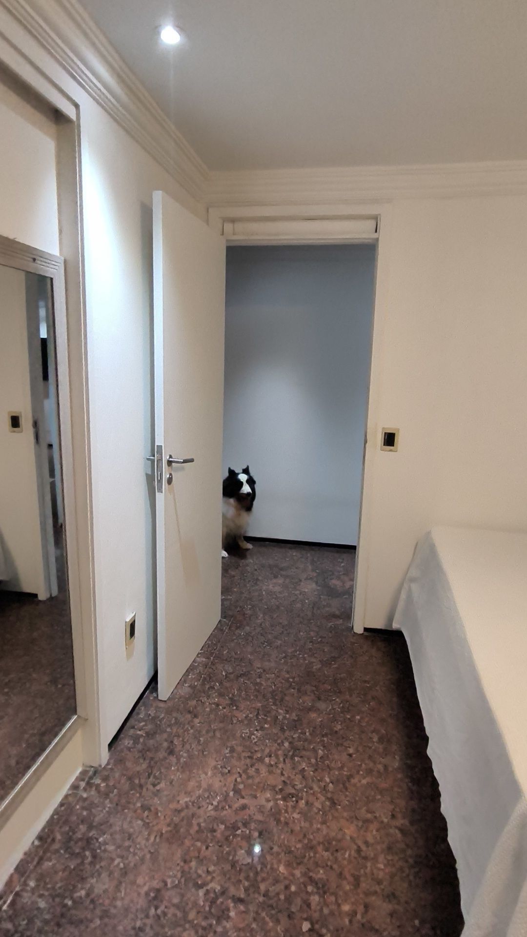 Apartamento, 4 quartos, 225 m² - Foto 45