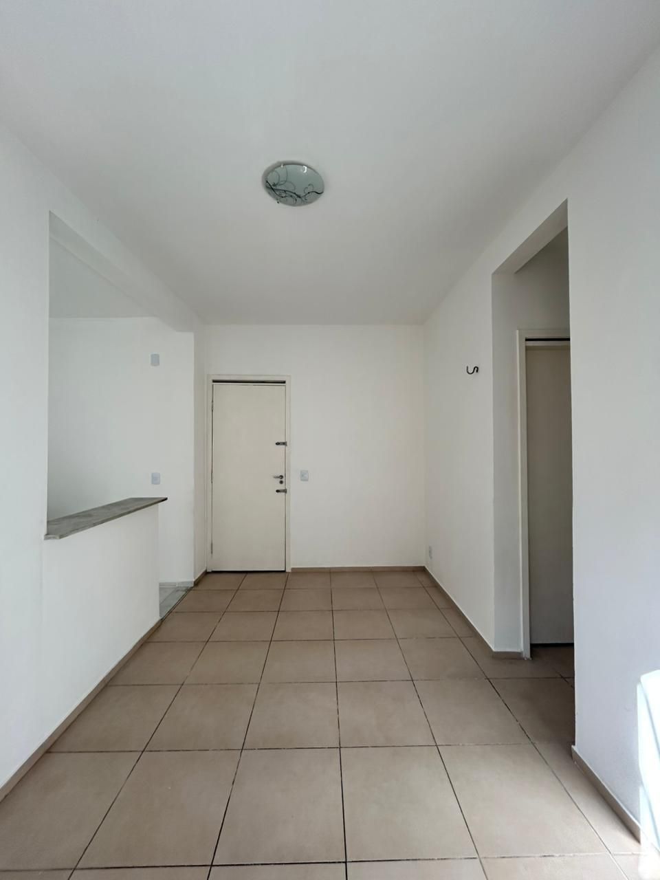 Apartamento, 2 quartos, 45 m² - Foto 7