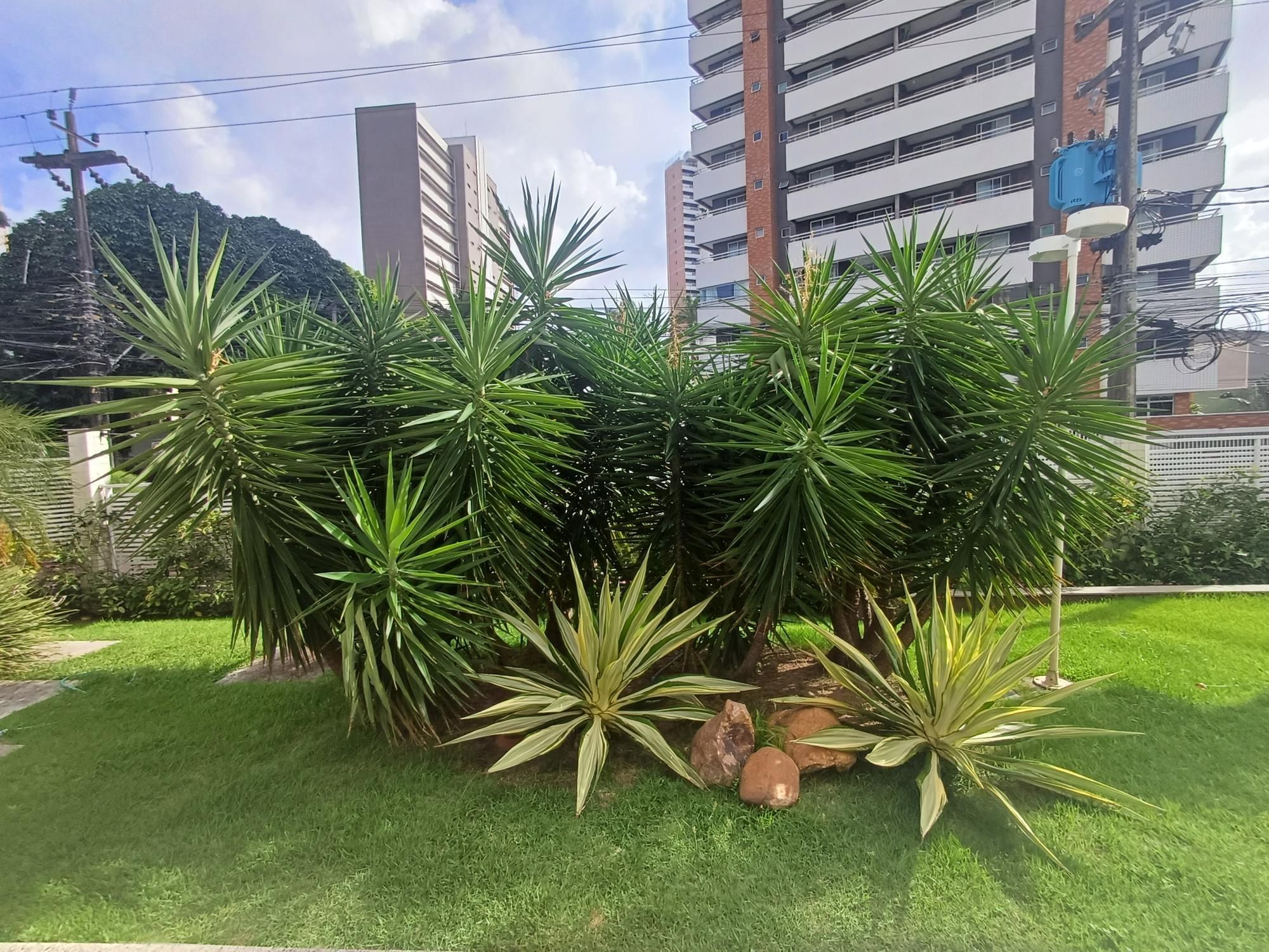 Apartamento, 3 quartos, 91 m² - Foto 8