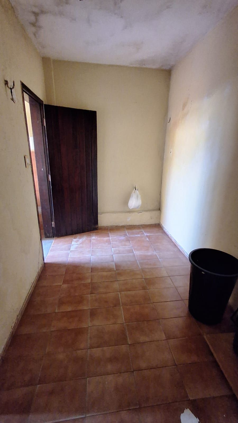 Casa, 4 quartos, 206 m² - Foto 47