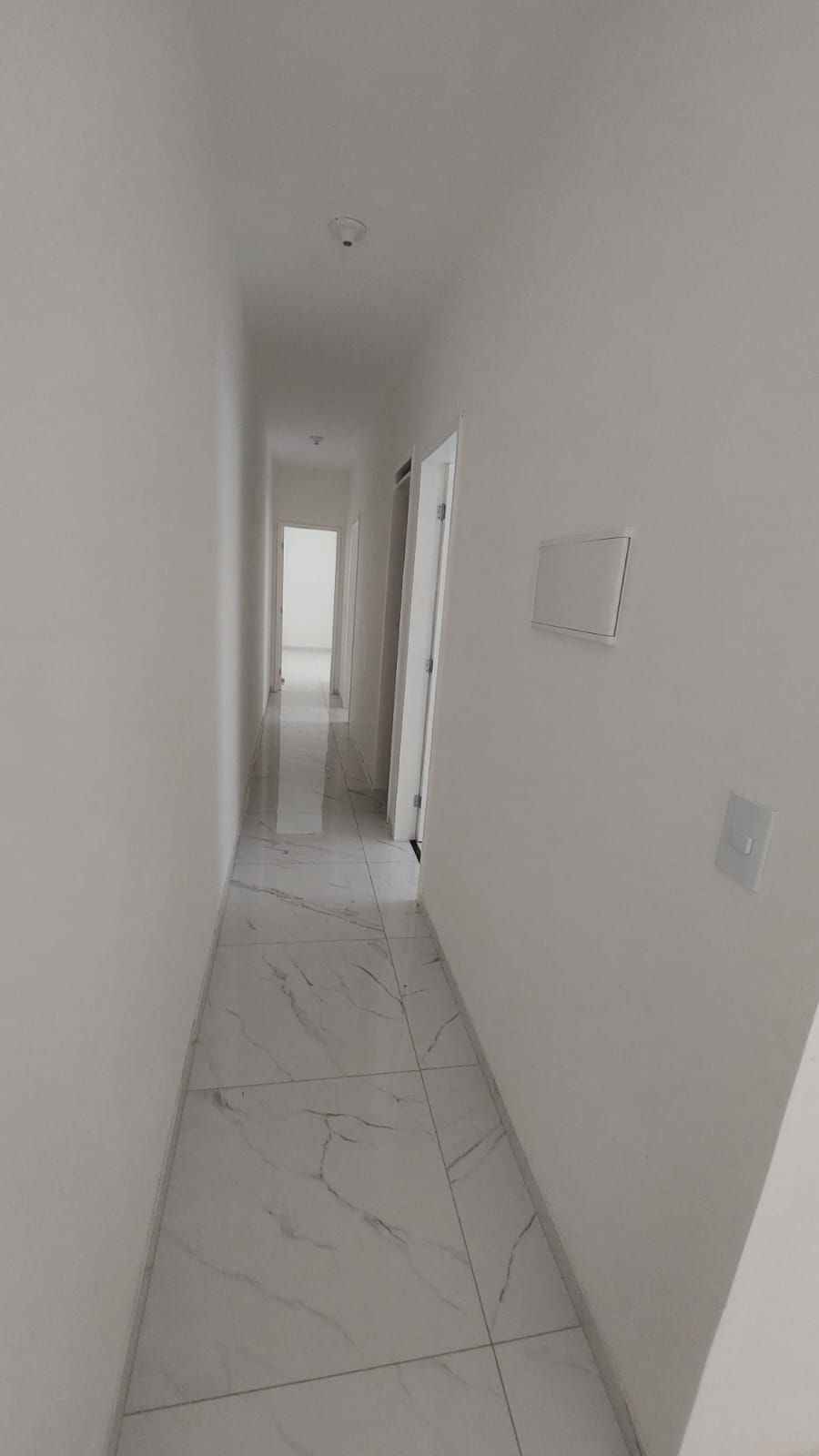 img229448374