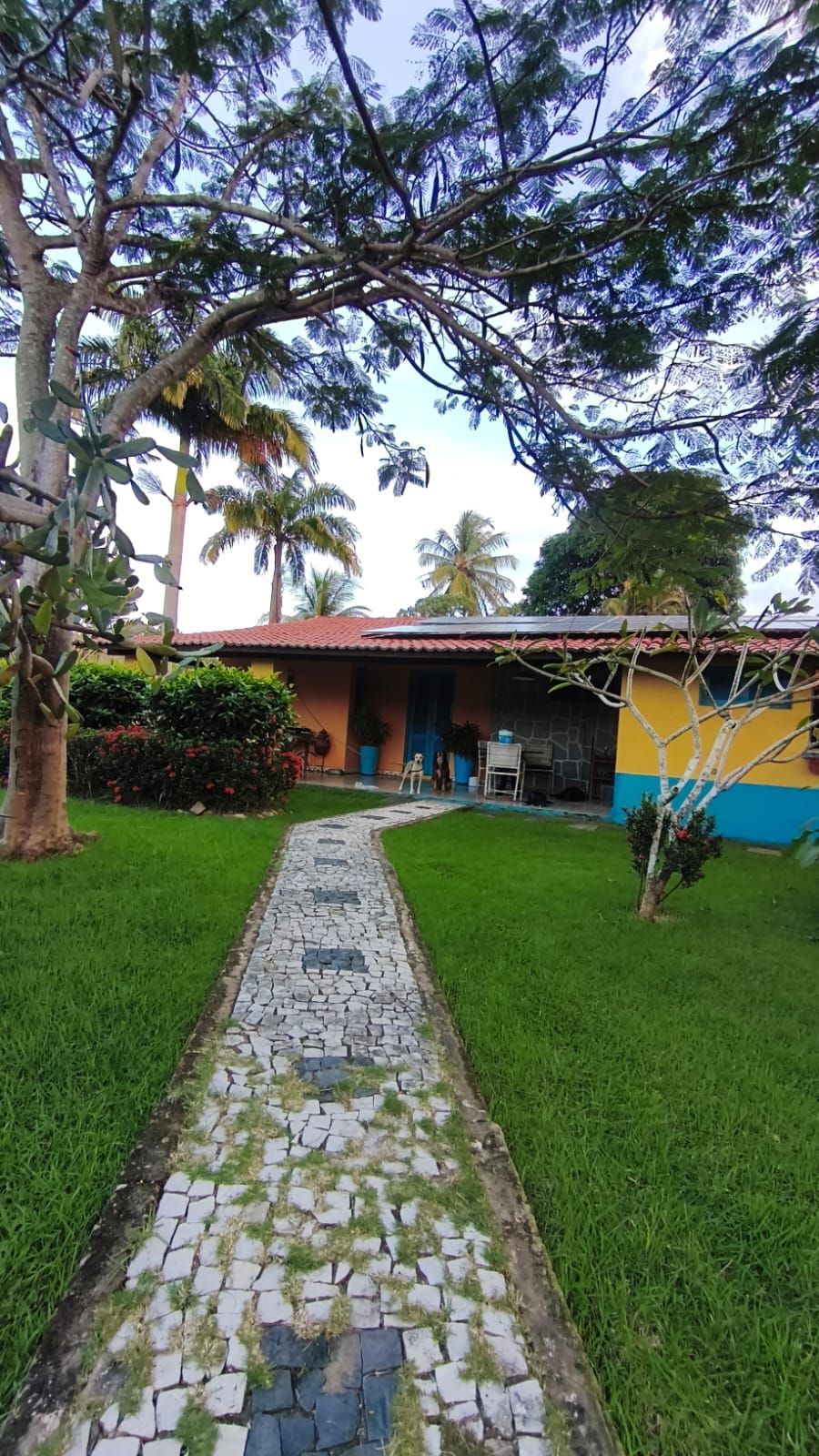 Chácara, 6 quartos, 2 hectares - Foto 8