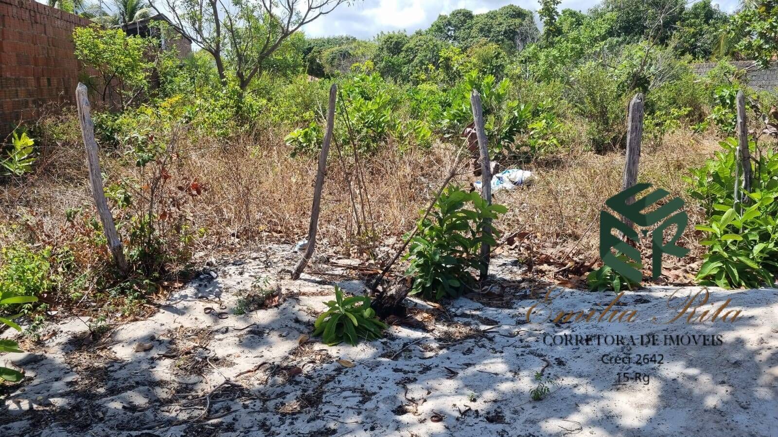 Terreno, 1584 m² - Foto 3