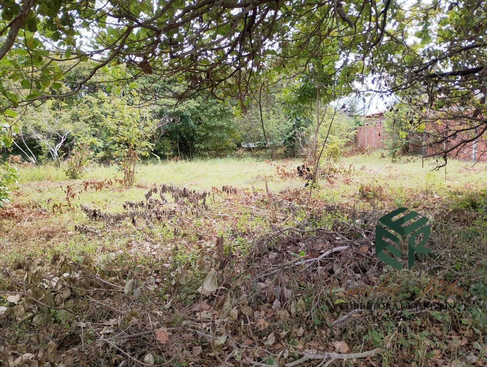 Terreno, 2880 m² - Foto 4