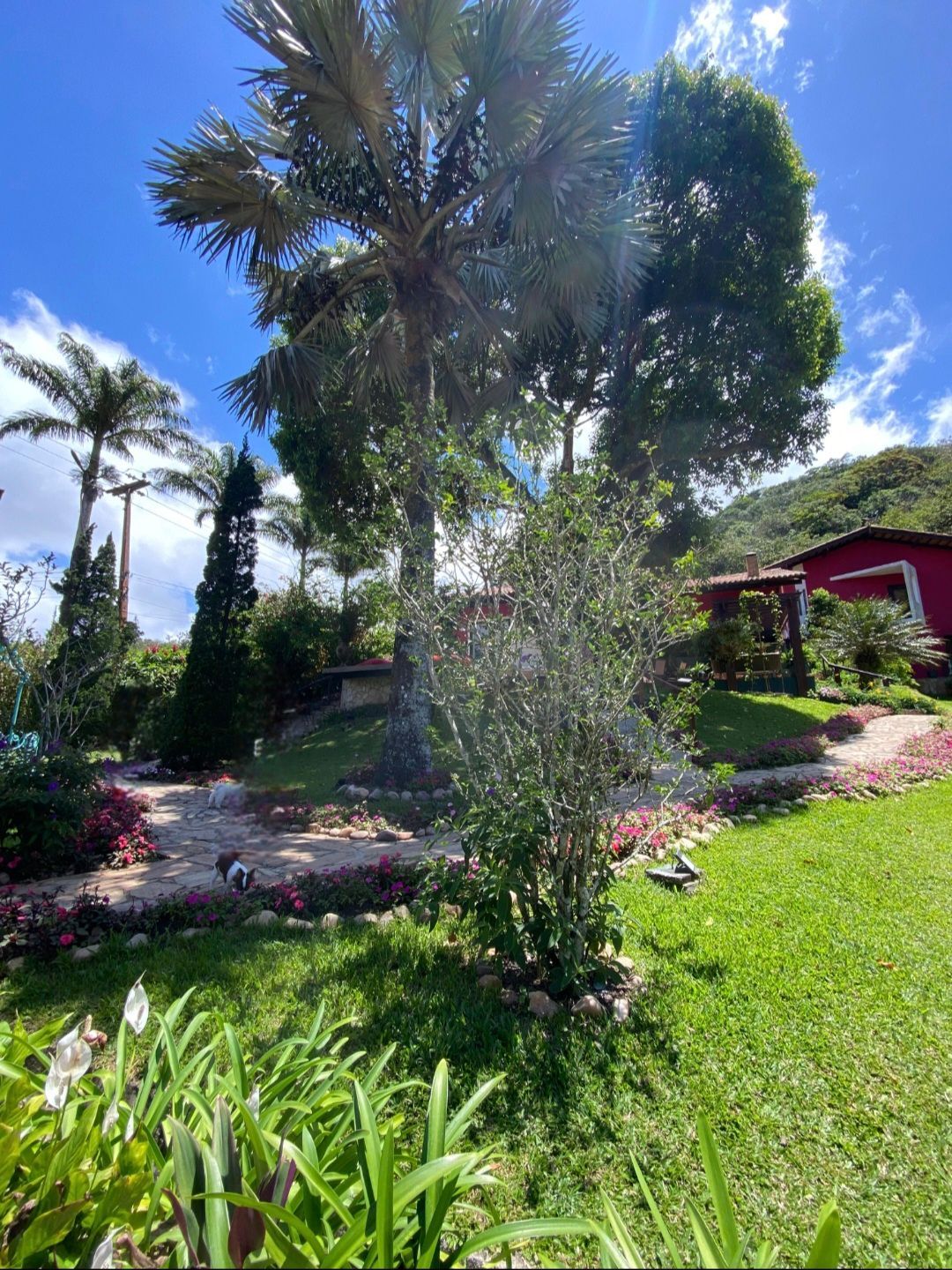 Chácara, 5 quartos, 33 hectares - Foto 71