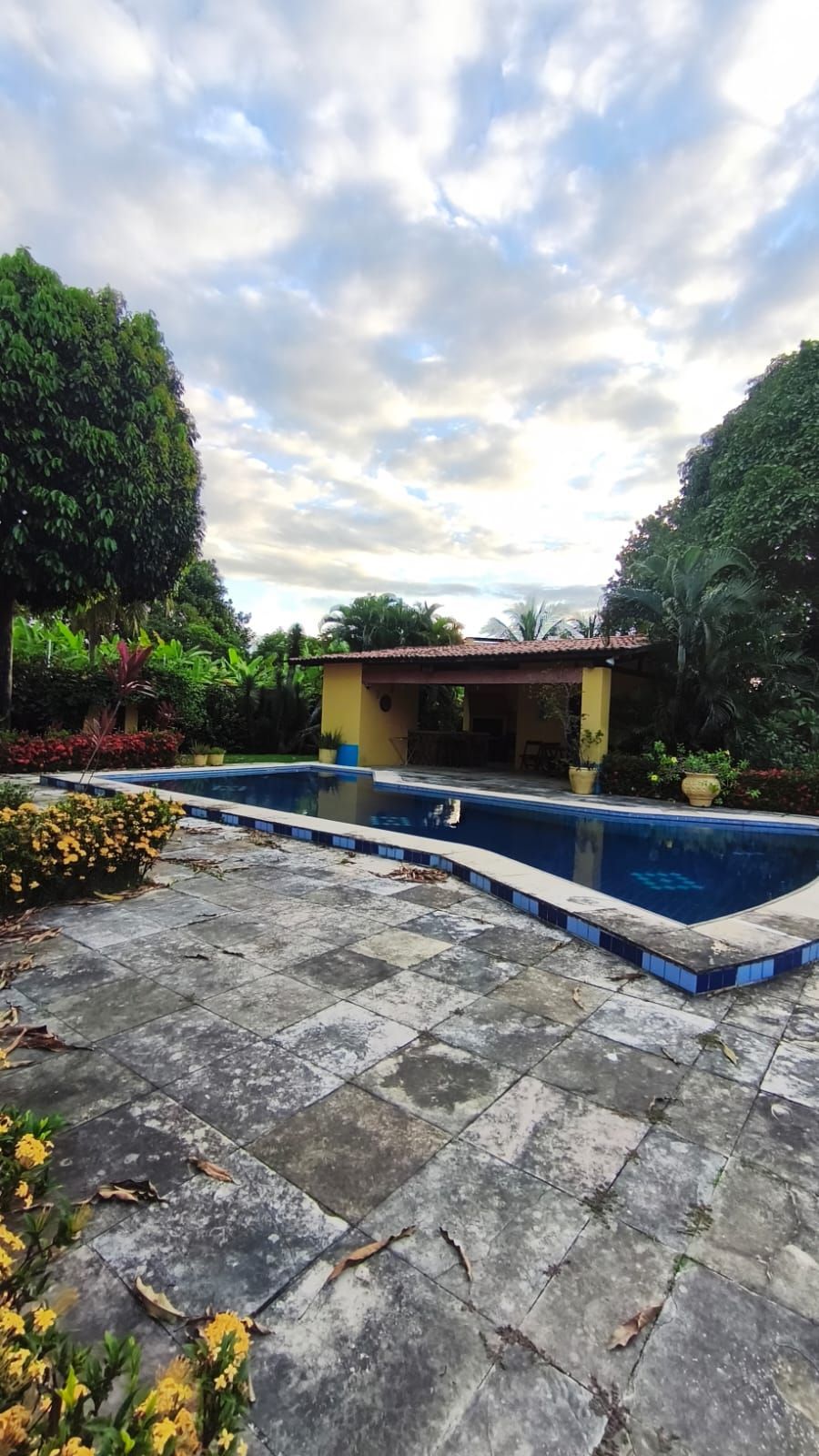 Chácara, 6 quartos, 2 hectares - Foto 15